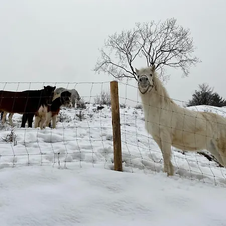 Chalet Wellness Piros - Chopok Jasna South, Tale